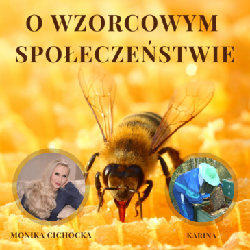 100. O wzorcowym społeczeństwie. Pszczoły, Pasieka, Miód, Ule, Propolis | Monika Cichocka, Karina