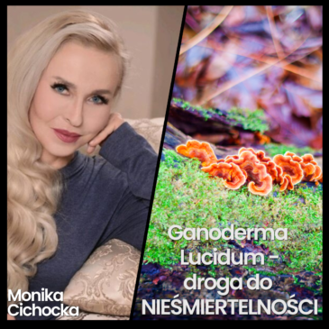 217. Ganoderma Lucidum – droga do NIEŚMIERTELNOŚCI | Reishi, Medycyna Chińska, Medycyna | Monika Cichocka
