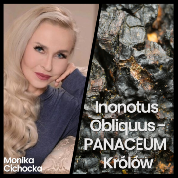 225. Inonotus Obliquus – PANACEUM Królów. Chaga, Medycyna Naturalna, Święte Grzyby | Monika Cichocka
